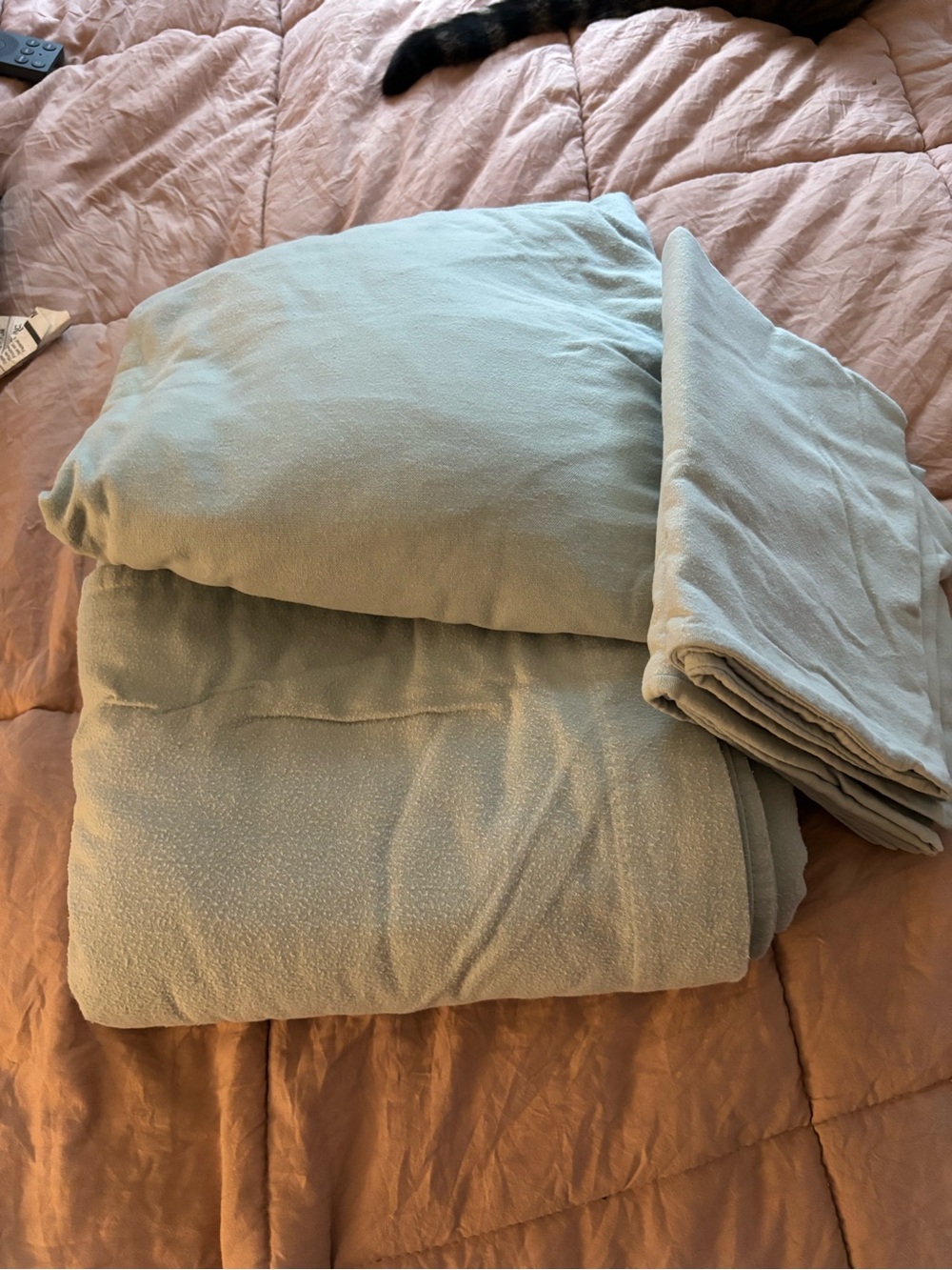 L.L. Bean Light Sage Green Comforter Set
